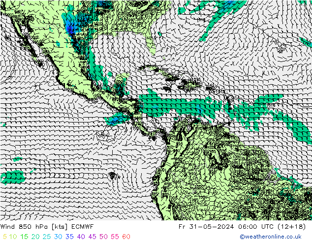  Cu 31.05.2024 06 UTC