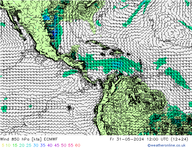  Cu 31.05.2024 12 UTC