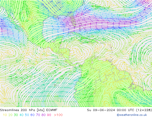 Streamlines 200 hPa ECMWF Ne 09.06.2024 00 UTC