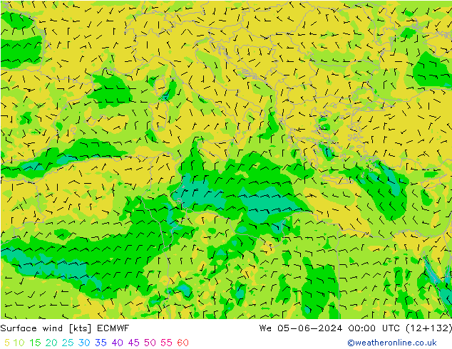 Surface wind ECMWF St 05.06.2024 00 UTC