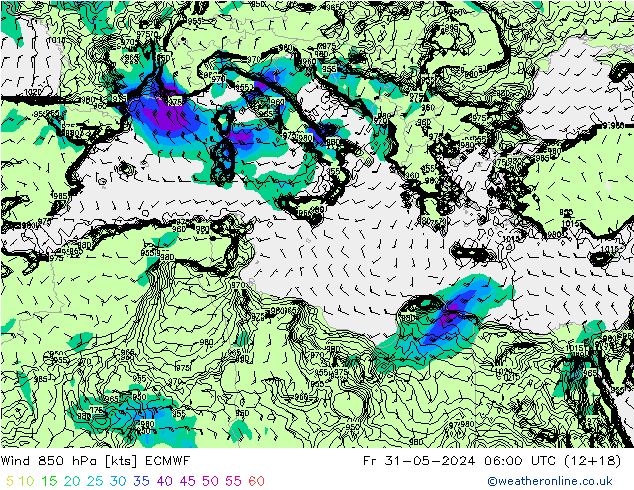  Fr 31.05.2024 06 UTC