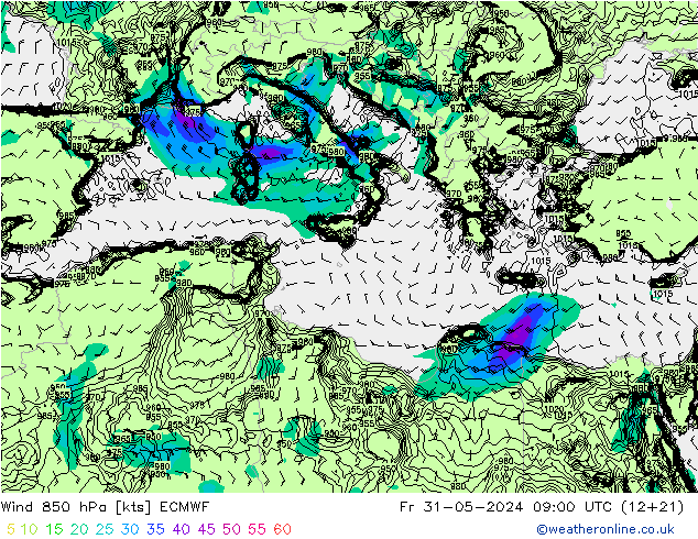  Fr 31.05.2024 09 UTC