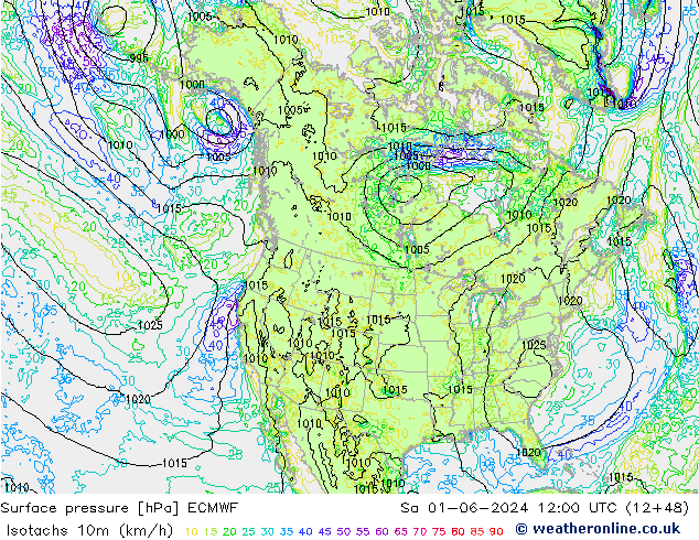 Izotacha (km/godz) ECMWF so. 01.06.2024 12 UTC