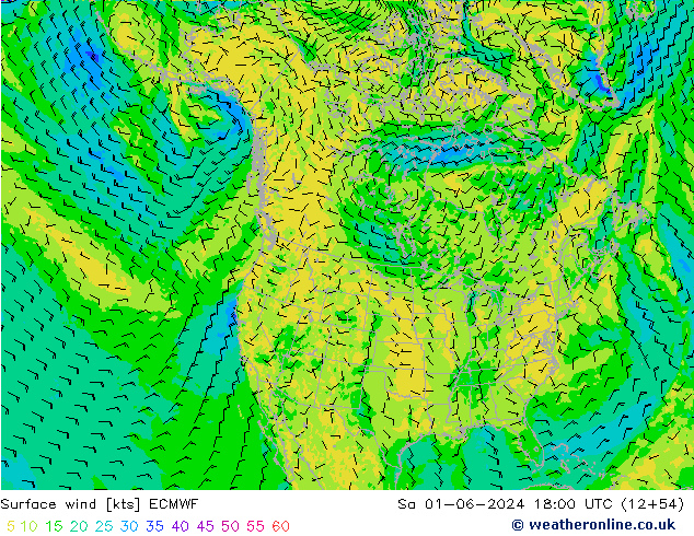 Surface wind ECMWF Sa 01.06.2024 18 UTC