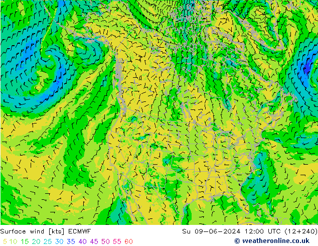 Wind 10 m ECMWF zo 09.06.2024 12 UTC