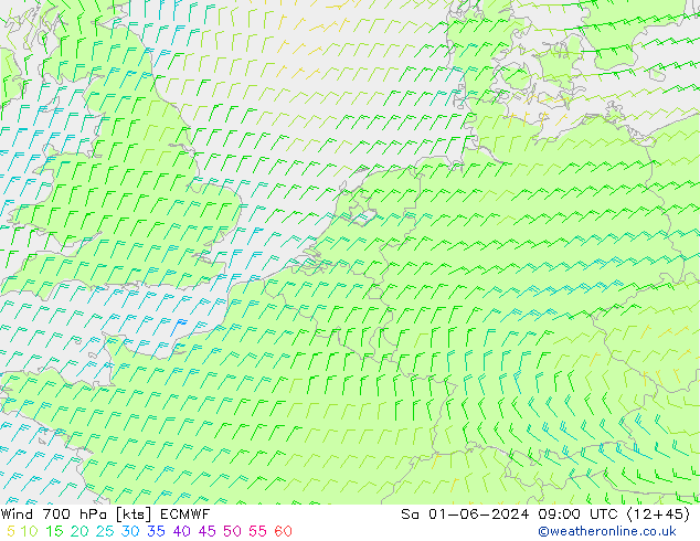 Wind 700 hPa ECMWF Sa 01.06.2024 09 UTC