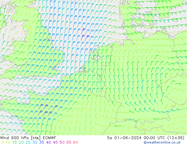 Wind 900 hPa ECMWF za 01.06.2024 00 UTC