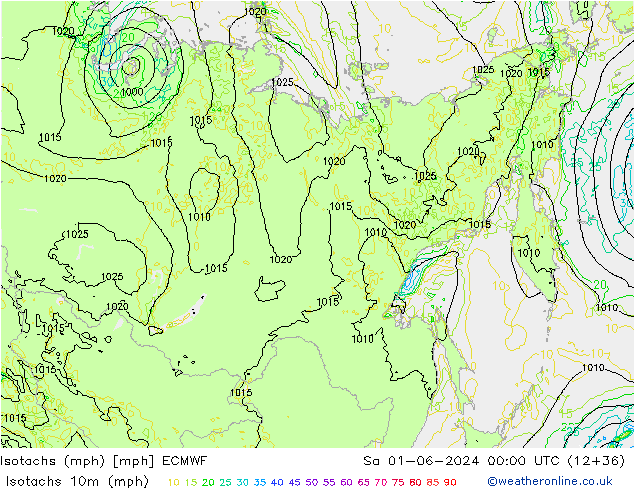 Isotachen (mph) ECMWF za 01.06.2024 00 UTC
