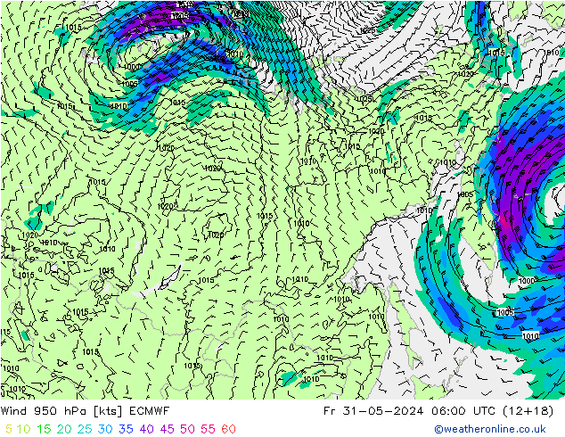 ветер 950 гПа ECMWF пт 31.05.2024 06 UTC