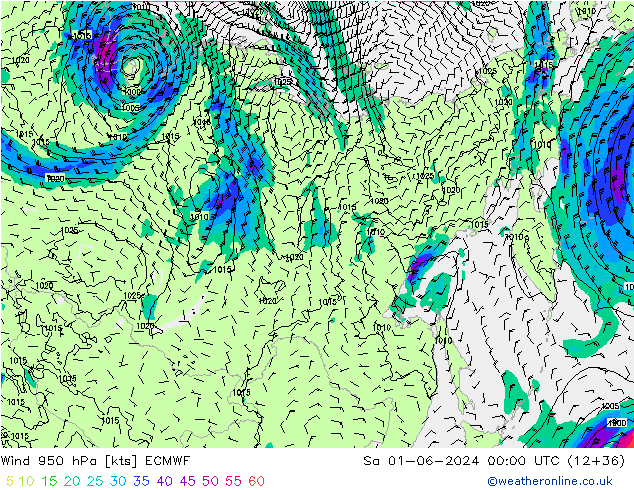 Wind 950 hPa ECMWF za 01.06.2024 00 UTC