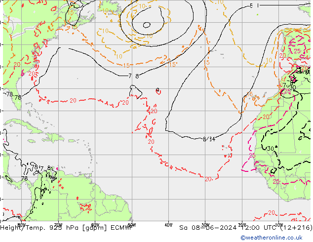 Yükseklik/Sıc. 925 hPa ECMWF Cts 08.06.2024 12 UTC