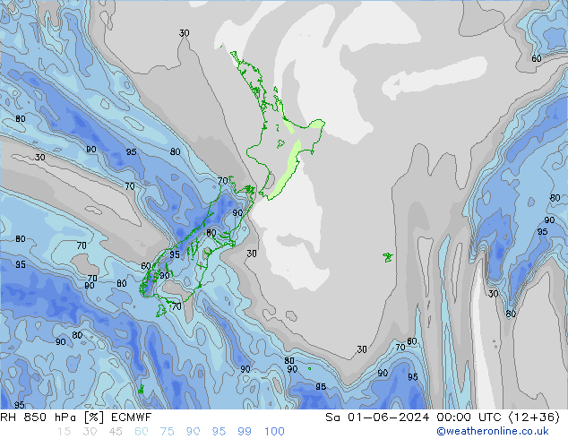 RH 850 hPa ECMWF So 01.06.2024 00 UTC