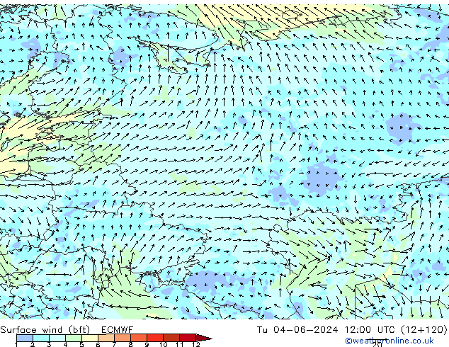 Vento 10 m (bft) ECMWF mar 04.06.2024 12 UTC