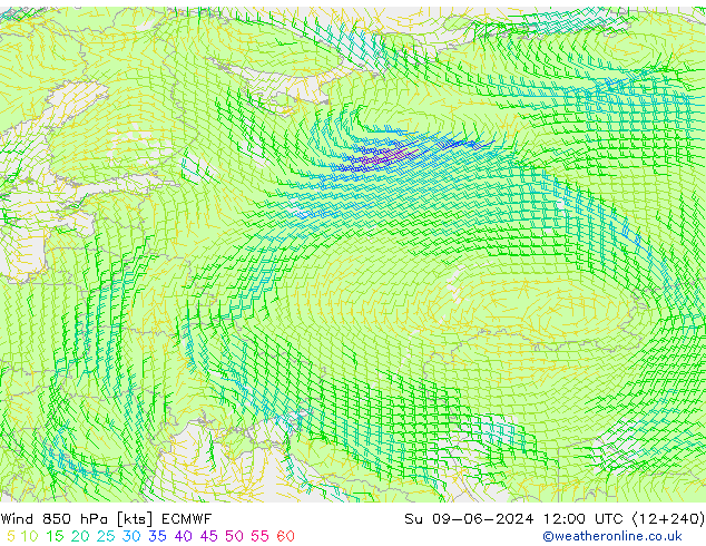  850 hPa ECMWF  09.06.2024 12 UTC