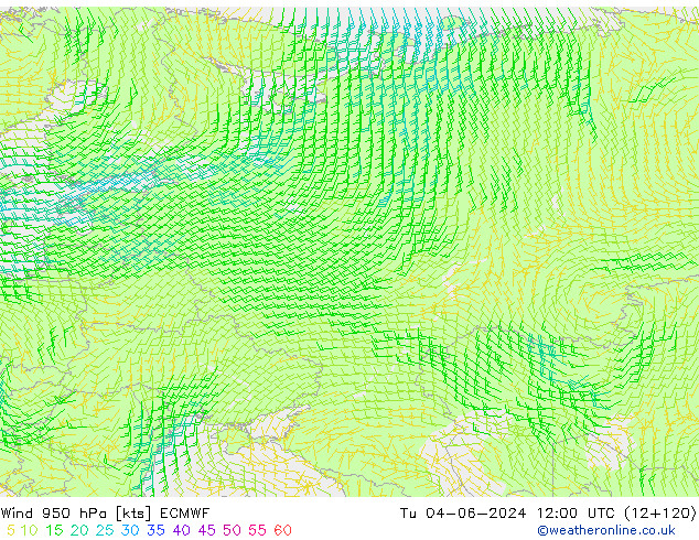 Wind 950 hPa ECMWF Tu 04.06.2024 12 UTC