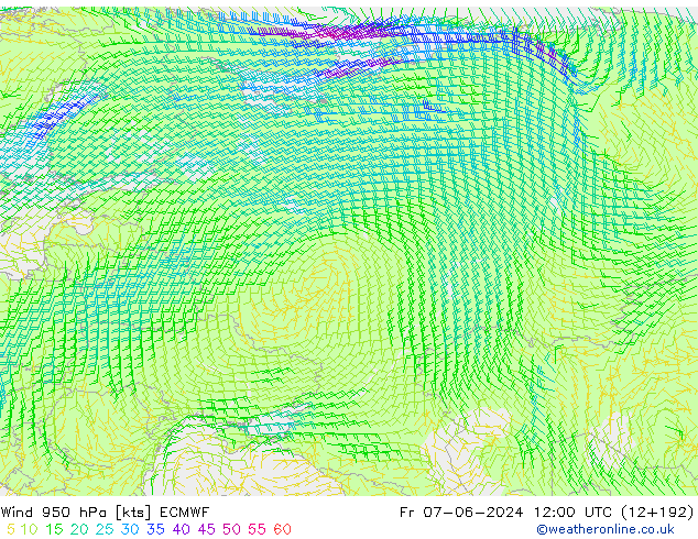 Wind 950 hPa ECMWF vr 07.06.2024 12 UTC