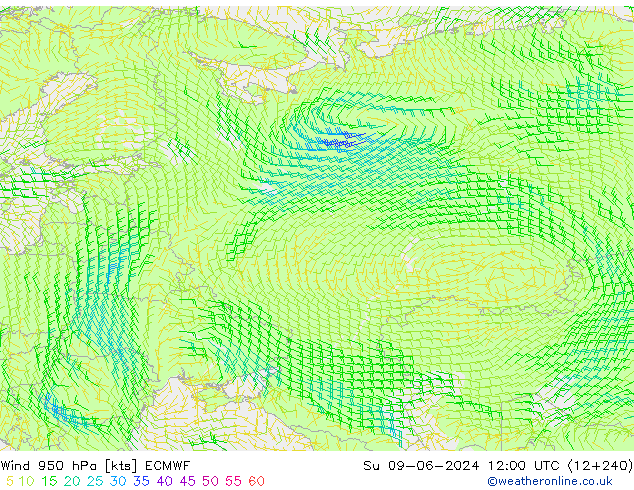 Vento 950 hPa ECMWF Dom 09.06.2024 12 UTC