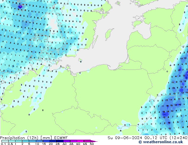 Precipitation (12h) ECMWF Ne 09.06.2024 12 UTC