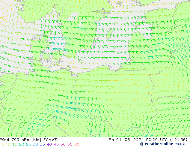  700 hPa ECMWF  01.06.2024 00 UTC