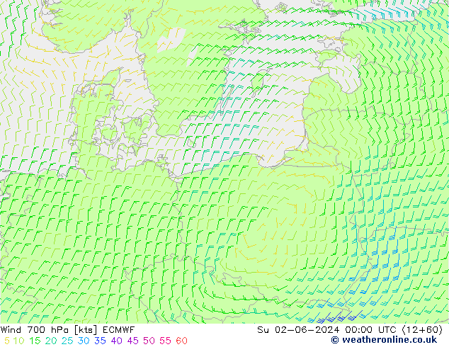  700 hPa ECMWF  02.06.2024 00 UTC