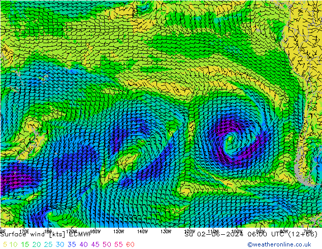 Wind 10 m ECMWF zo 02.06.2024 06 UTC