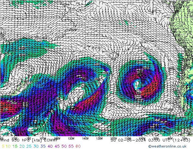 wiatr 950 hPa ECMWF nie. 02.06.2024 03 UTC