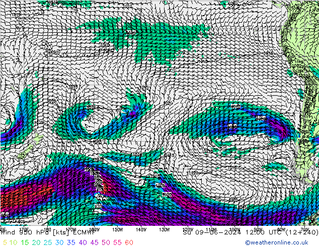 Wind 950 hPa ECMWF Su 09.06.2024 12 UTC