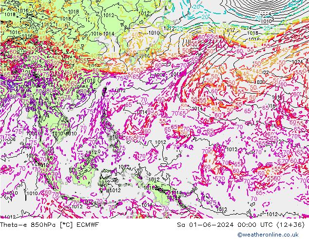 Theta-e 850hPa ECMWF So 01.06.2024 00 UTC