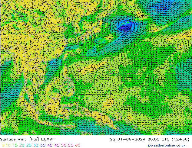 ветер 10 m ECMWF сб 01.06.2024 00 UTC