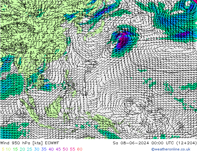 Wind 950 hPa ECMWF So 08.06.2024 00 UTC