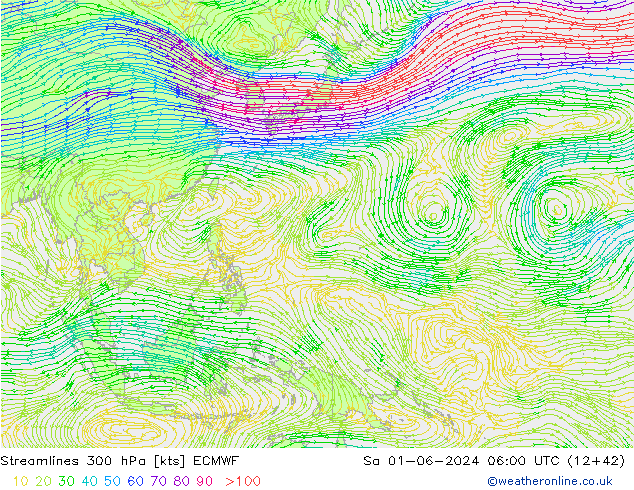 ветер 300 гПа ECMWF сб 01.06.2024 06 UTC