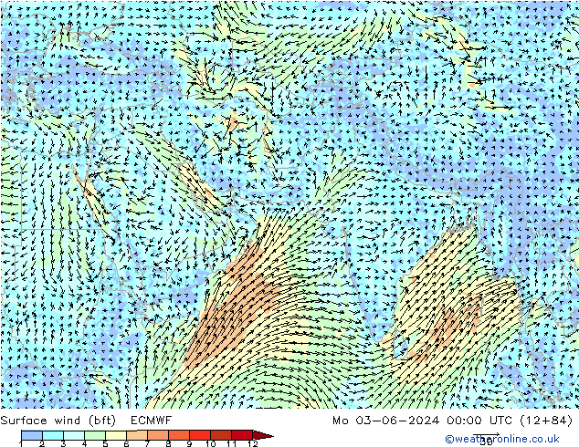 Surface wind (bft) ECMWF Mo 03.06.2024 00 UTC