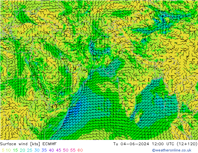 Surface wind ECMWF Tu 04.06.2024 12 UTC