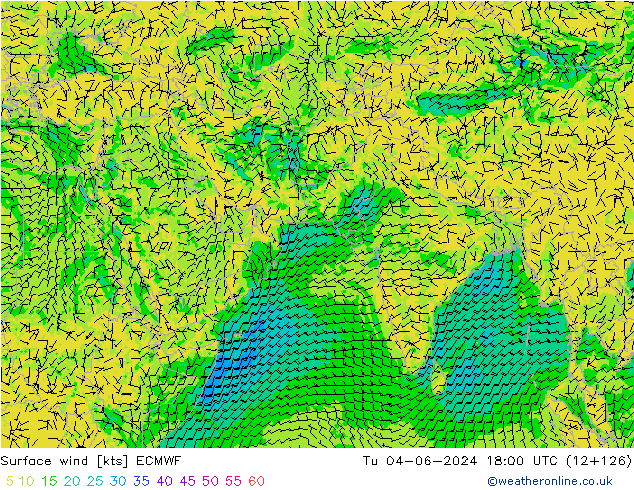 Surface wind ECMWF Tu 04.06.2024 18 UTC