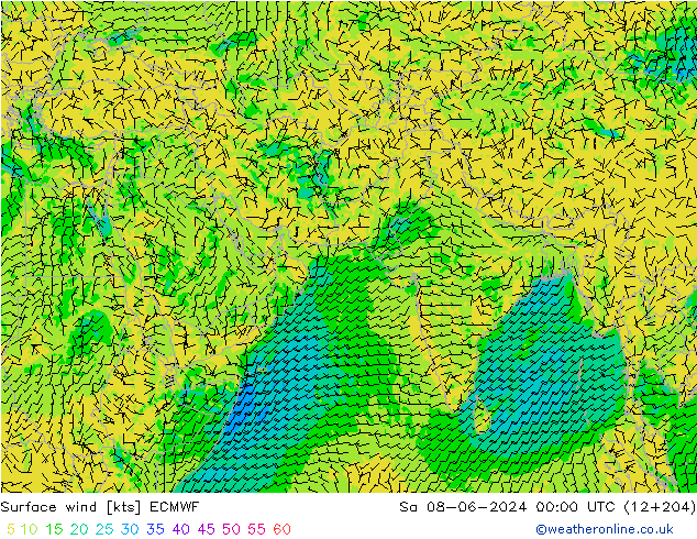 Rüzgar 10 m ECMWF Cts 08.06.2024 00 UTC