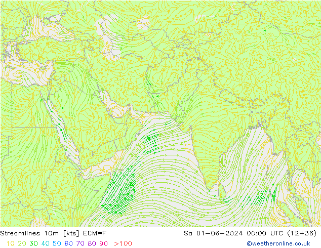 Streamlines 10m ECMWF Sa 01.06.2024 00 UTC