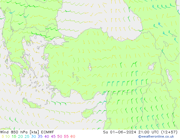 Vent 850 hPa ECMWF sam 01.06.2024 21 UTC