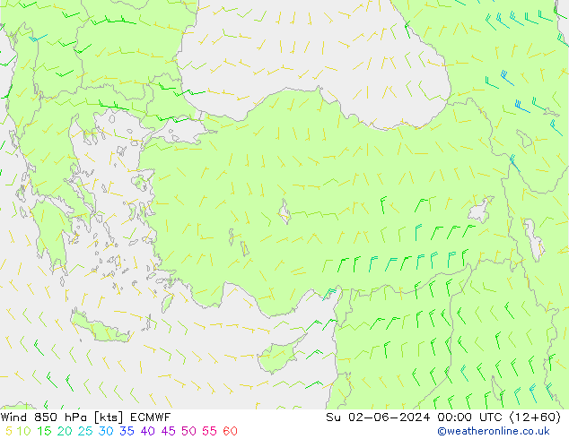 ветер 850 гПа ECMWF Вс 02.06.2024 00 UTC