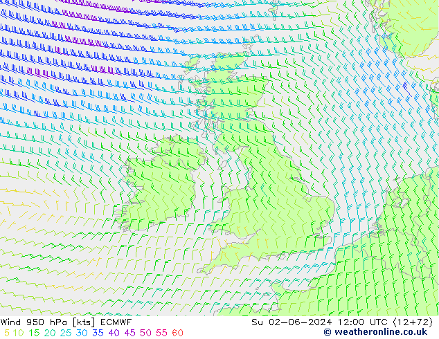 Vento 950 hPa ECMWF dom 02.06.2024 12 UTC