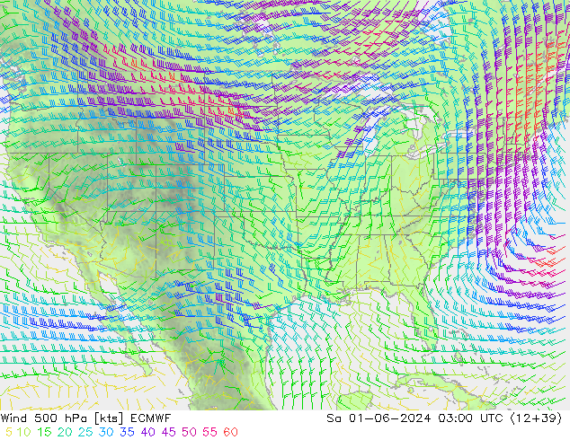 Wind 500 hPa ECMWF Sa 01.06.2024 03 UTC