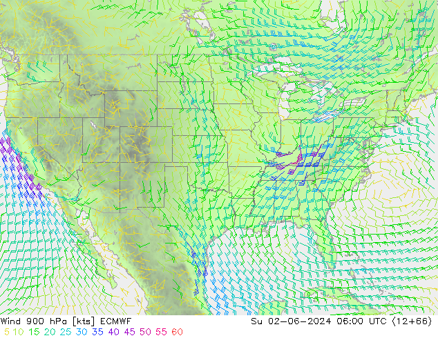 Wind 900 hPa ECMWF Ne 02.06.2024 06 UTC