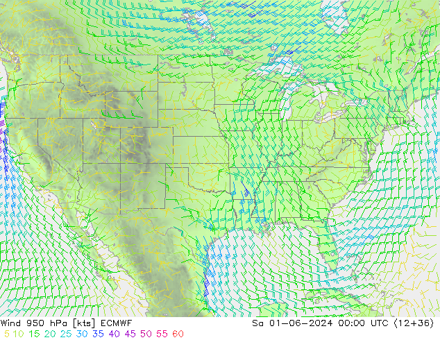 Vento 950 hPa ECMWF Sáb 01.06.2024 00 UTC