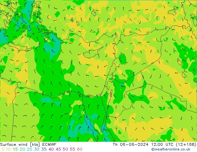 ветер 10 m ECMWF чт 06.06.2024 12 UTC