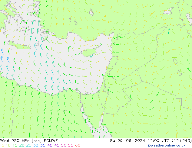 wiatr 950 hPa ECMWF nie. 09.06.2024 12 UTC