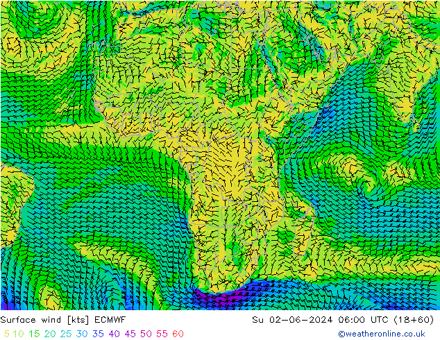 Surface wind ECMWF Su 02.06.2024 06 UTC