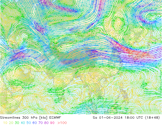 Stroomlijn 300 hPa ECMWF za 01.06.2024 18 UTC