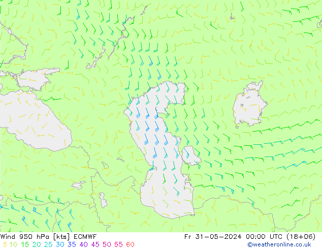 Prec 6h/Wind 10m/950 ECMWF Fr 31.05.2024 00 UTC