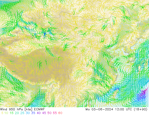 Wind 950 hPa ECMWF Mo 03.06.2024 12 UTC