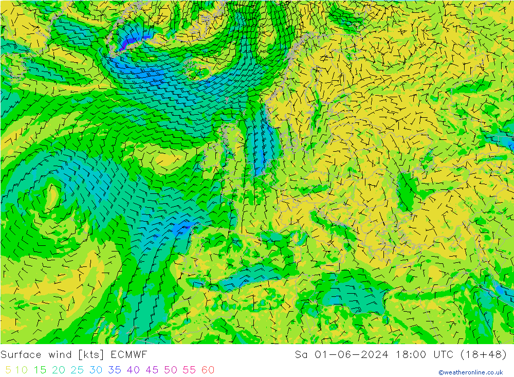 Bodenwind ECMWF Sa 01.06.2024 18 UTC