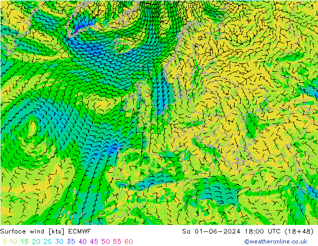 Wind 10 m ECMWF za 01.06.2024 18 UTC